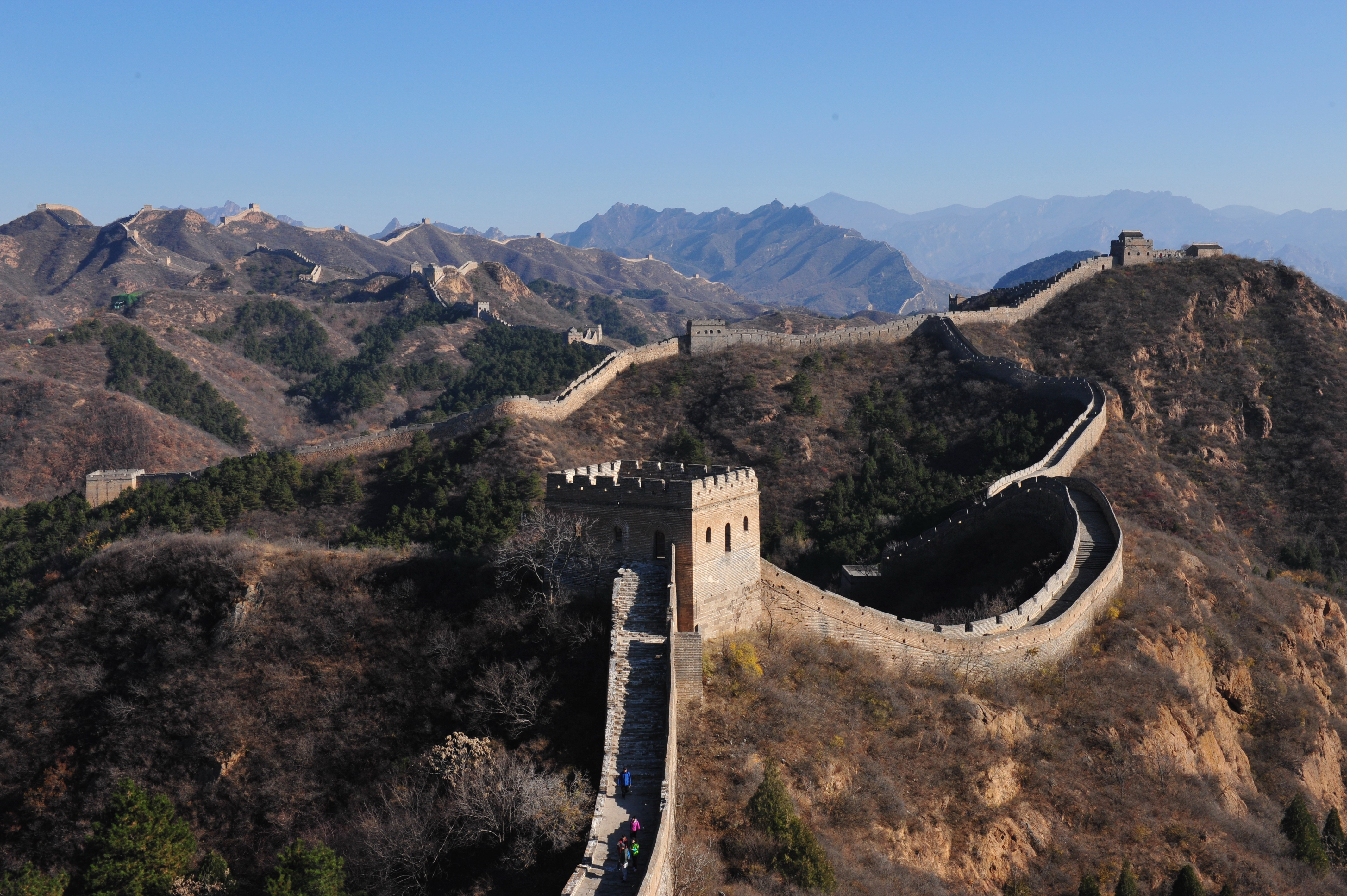 Wild China