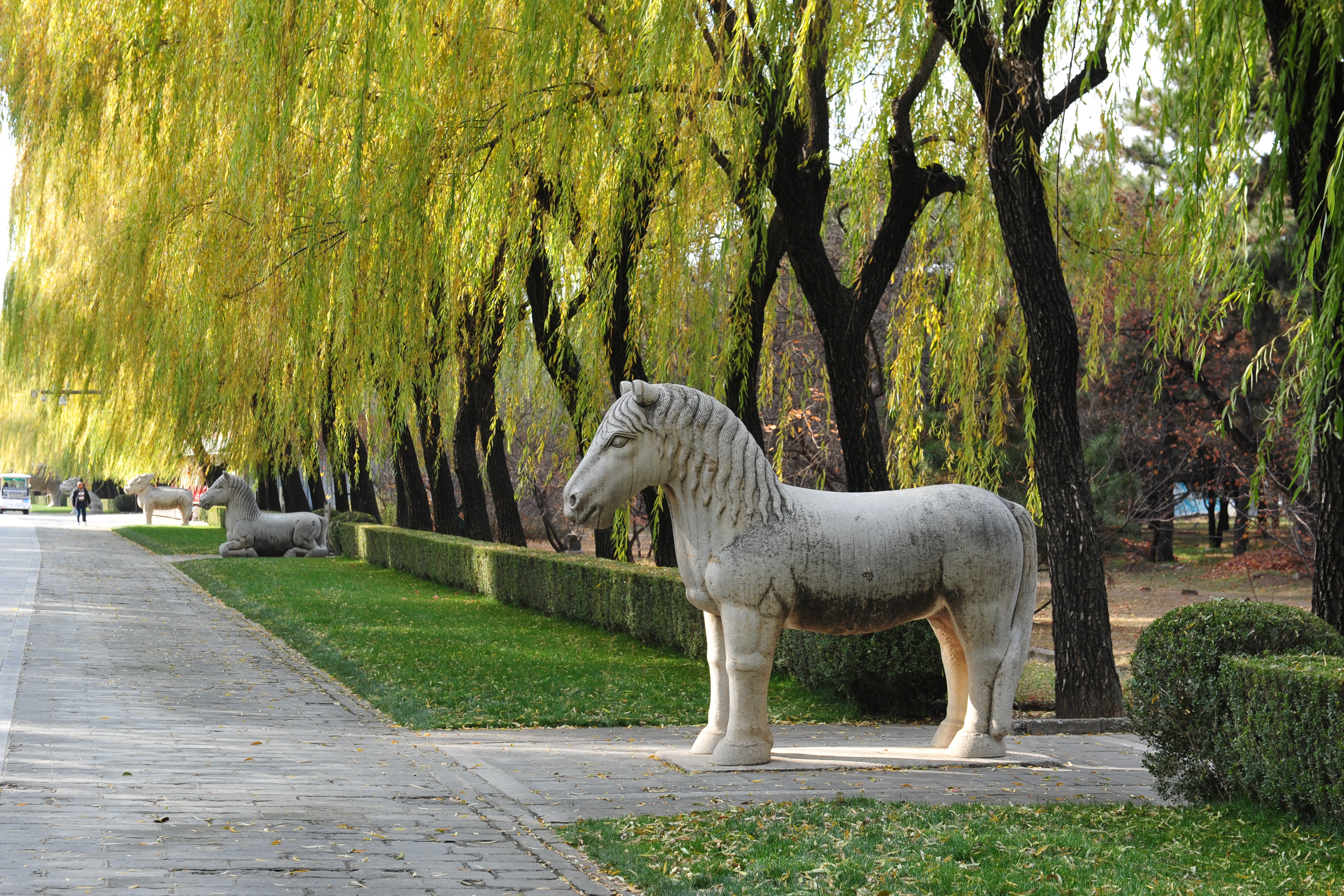 Wild China - 4