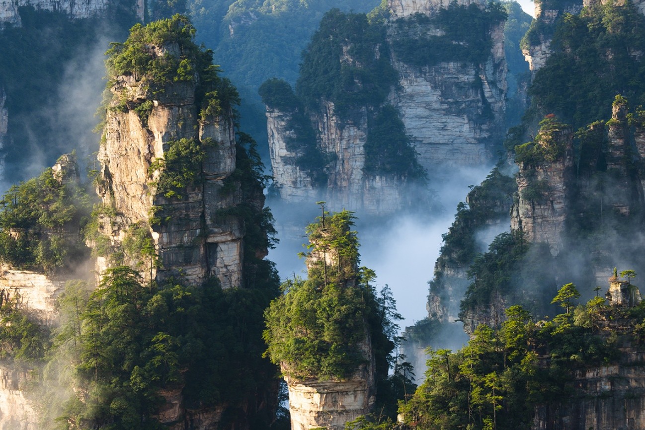 Wild China - 1