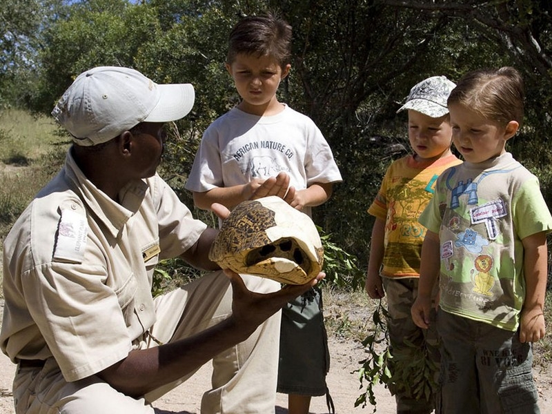 7天必备克鲁格国家公园 - 3