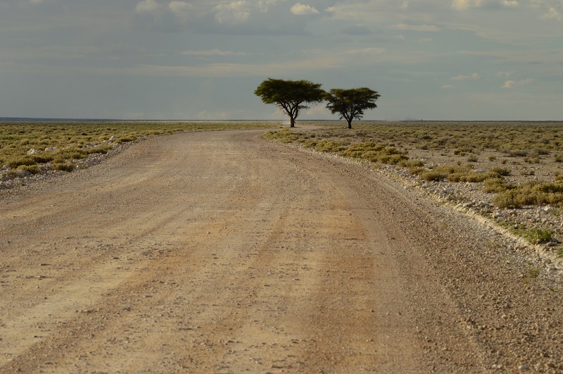 10天纳米比亚Safari亮点 - 4