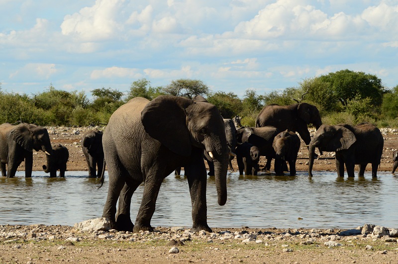 10天纳米比亚Safari亮点 - 1