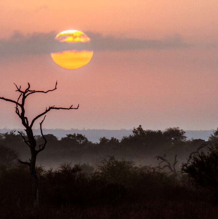 Karoo&kruger Park 7天/6晚 - 1