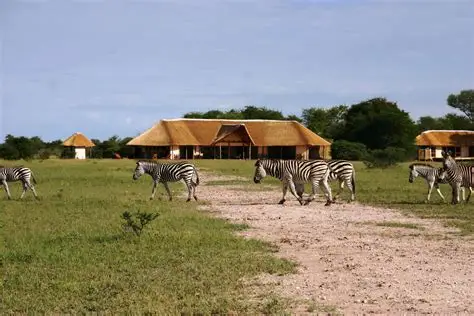 Nxai Pan Camp