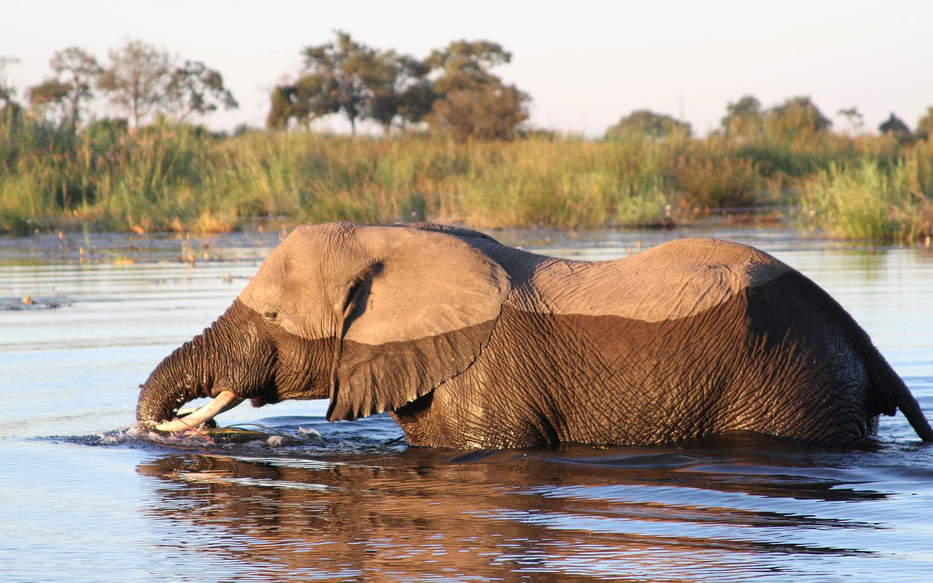 纳米比亚，乔贝和维多利亚瀑布家庭假日 - 4