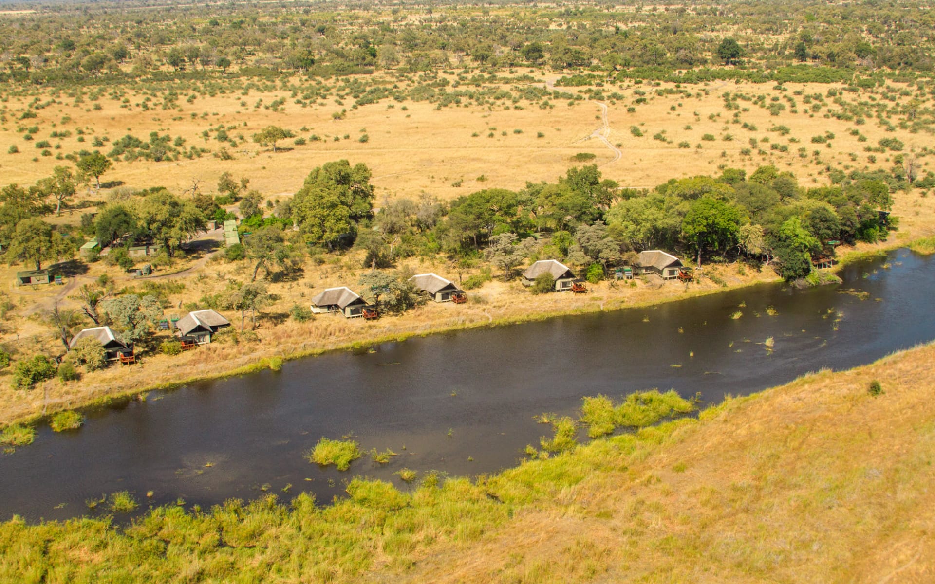 博茨瓦纳家庭Safari - 3