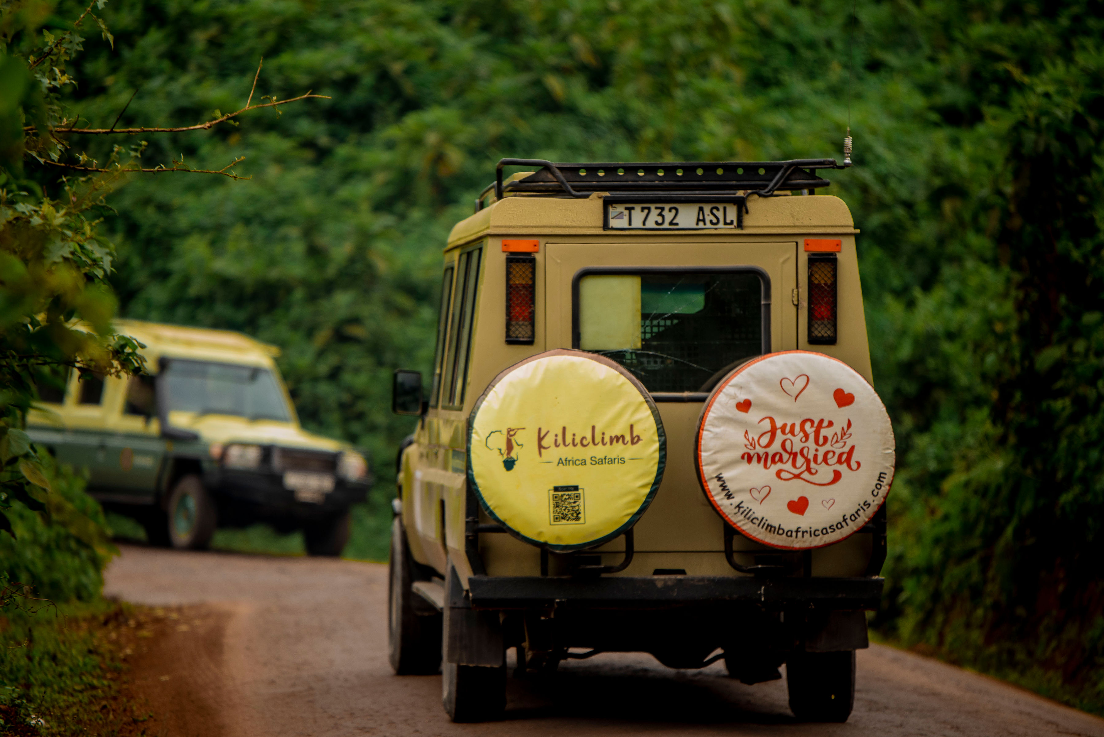 5天豪华Safari塔兰吉雷、塞伦盖蒂平原和恩戈罗恩戈罗 - 1