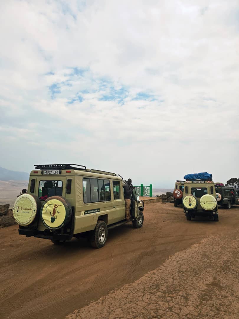 3天飞在坦桑尼亚蜜月Safari - 3