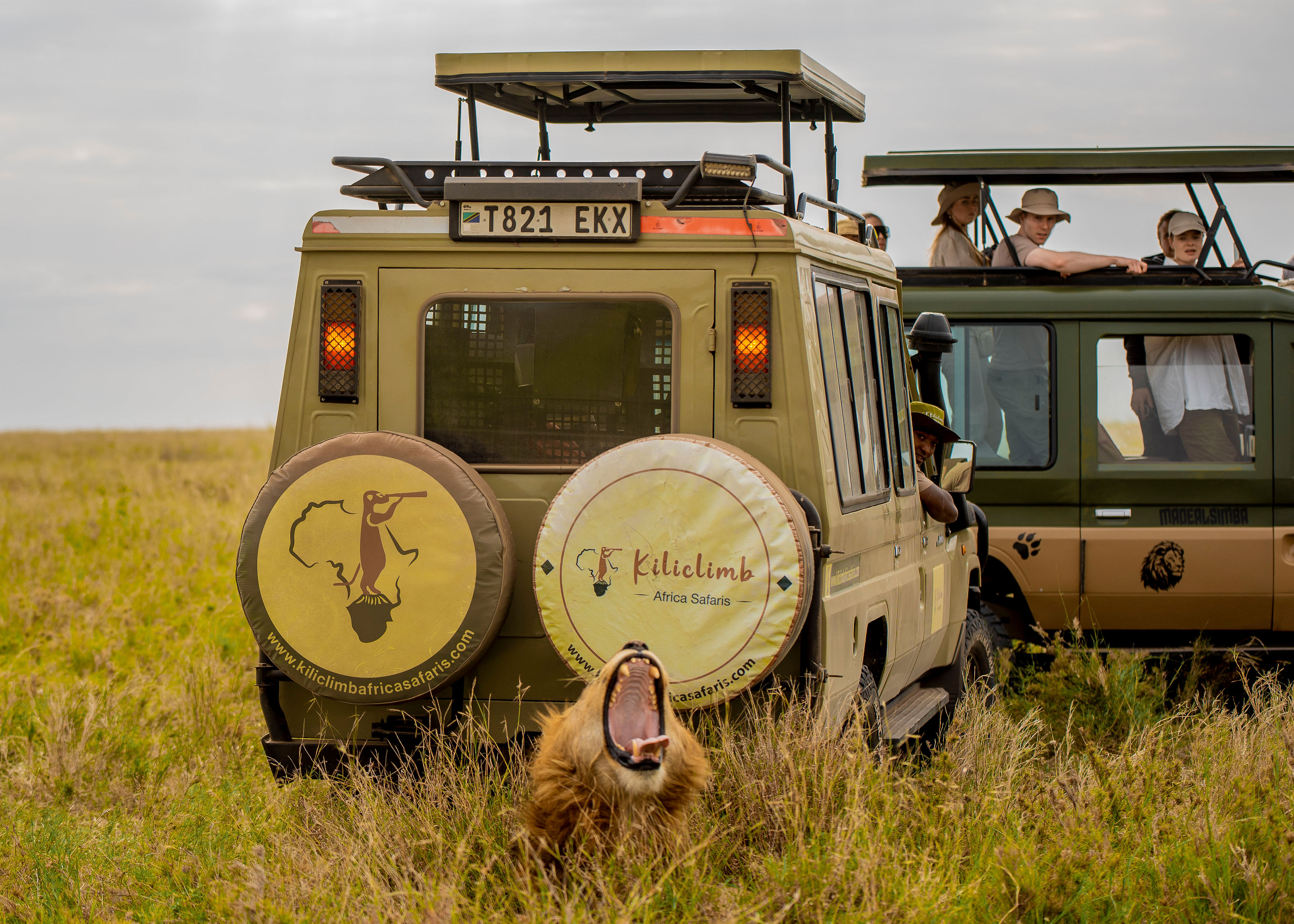3天实惠豪华Safari塞伦盖蒂平原&恩戈罗恩戈罗 - 4