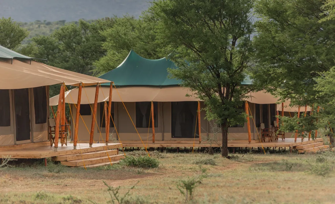 Signature Serengeti Luxury Tented Safari Camp