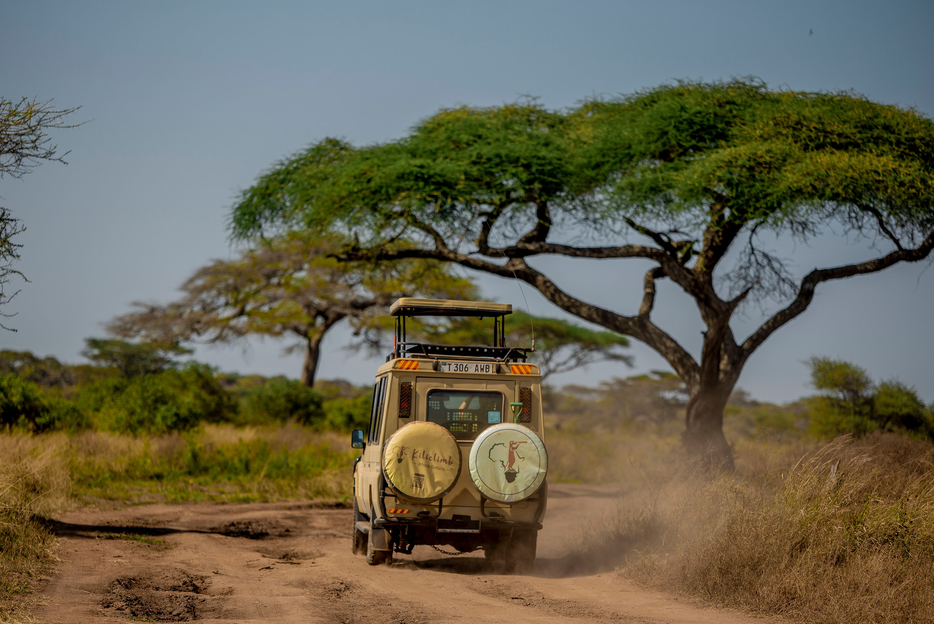 2天坦桑尼亚Safari - 1