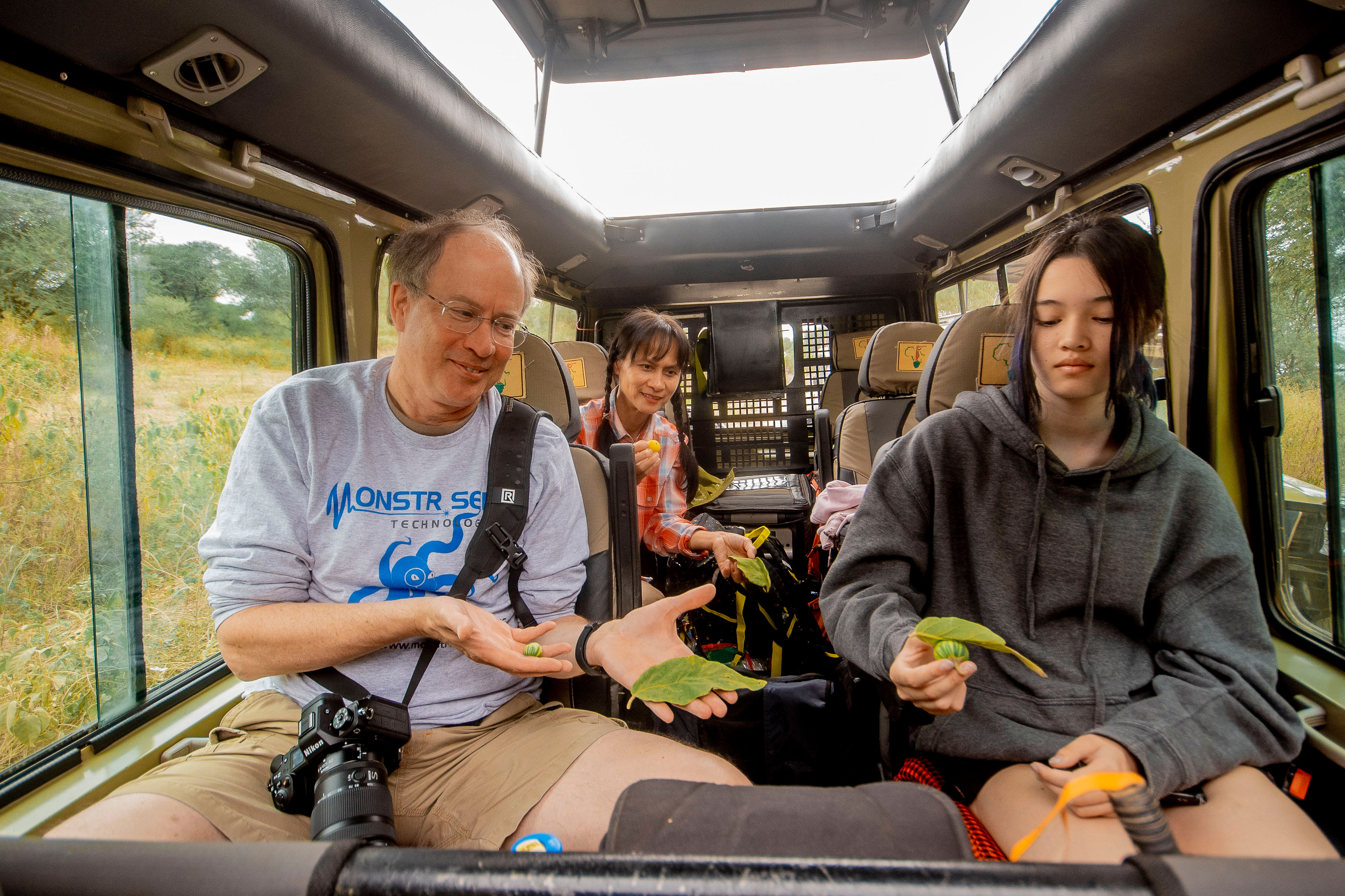 2天在坦桑尼亚Safari - 1