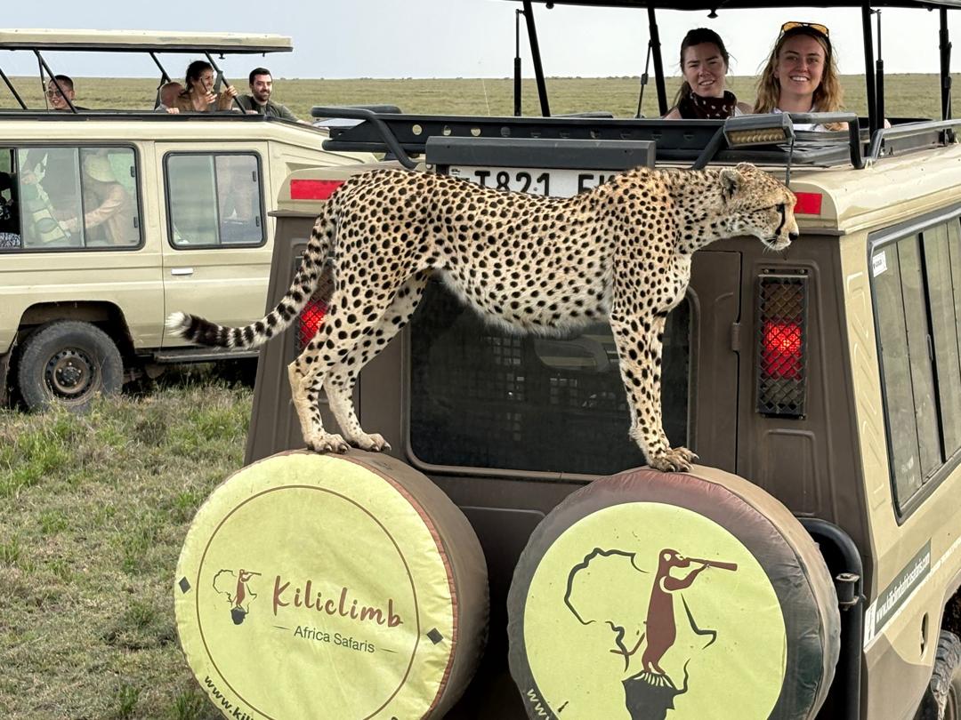 3天豪华Safari和马特鲁尼瀑布之旅 - 2