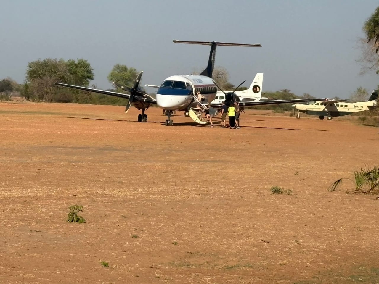 2天Tarangire Ngorongoro豪华飞行进出Safari - 2