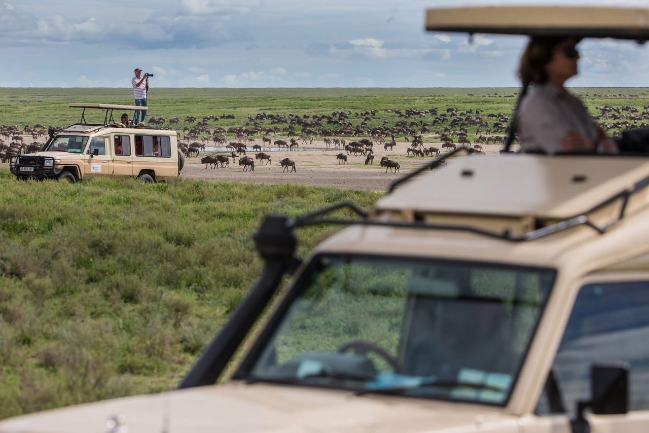 2天坦桑尼亚Safari - 2