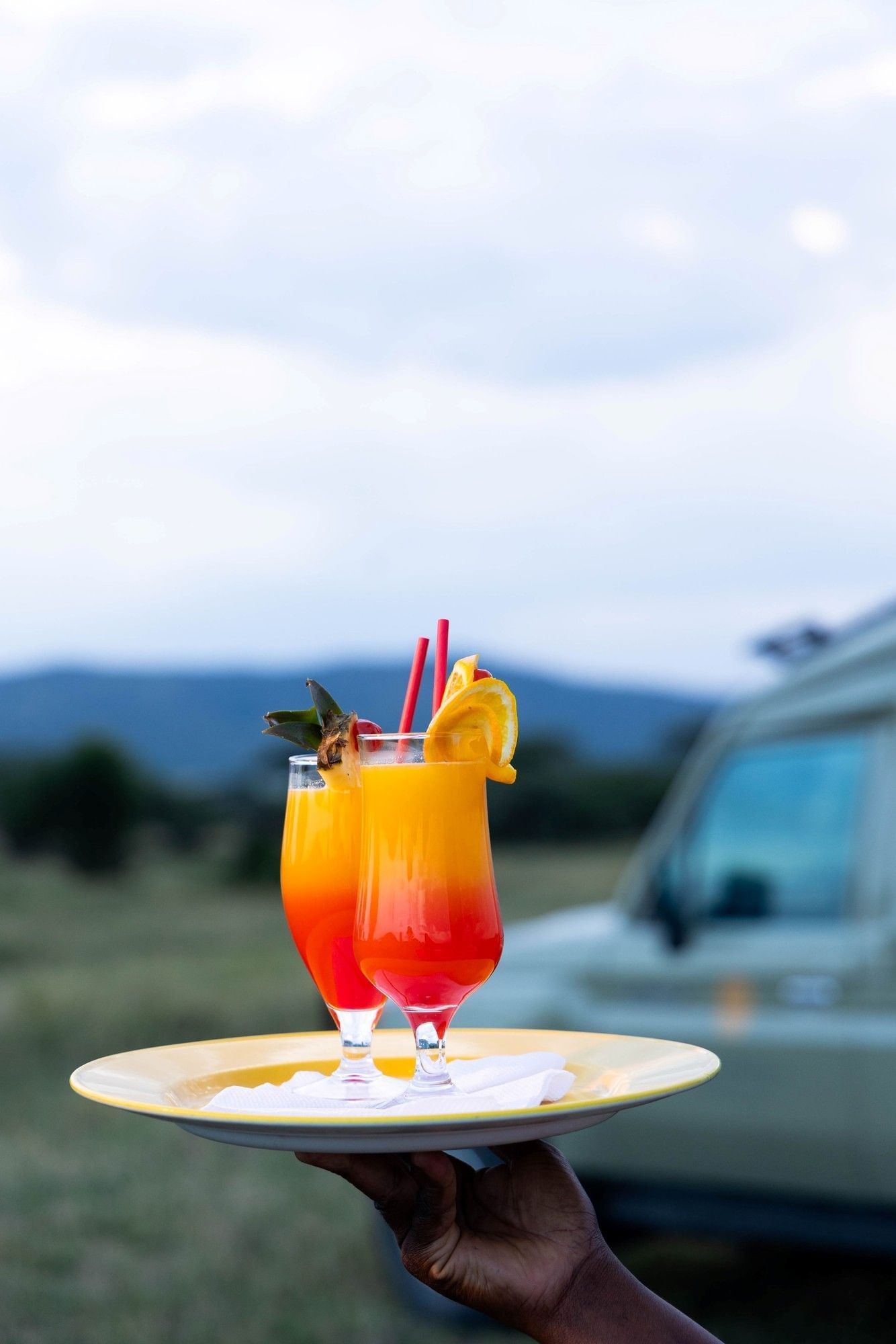  Serengeti Serena Safari Lodge