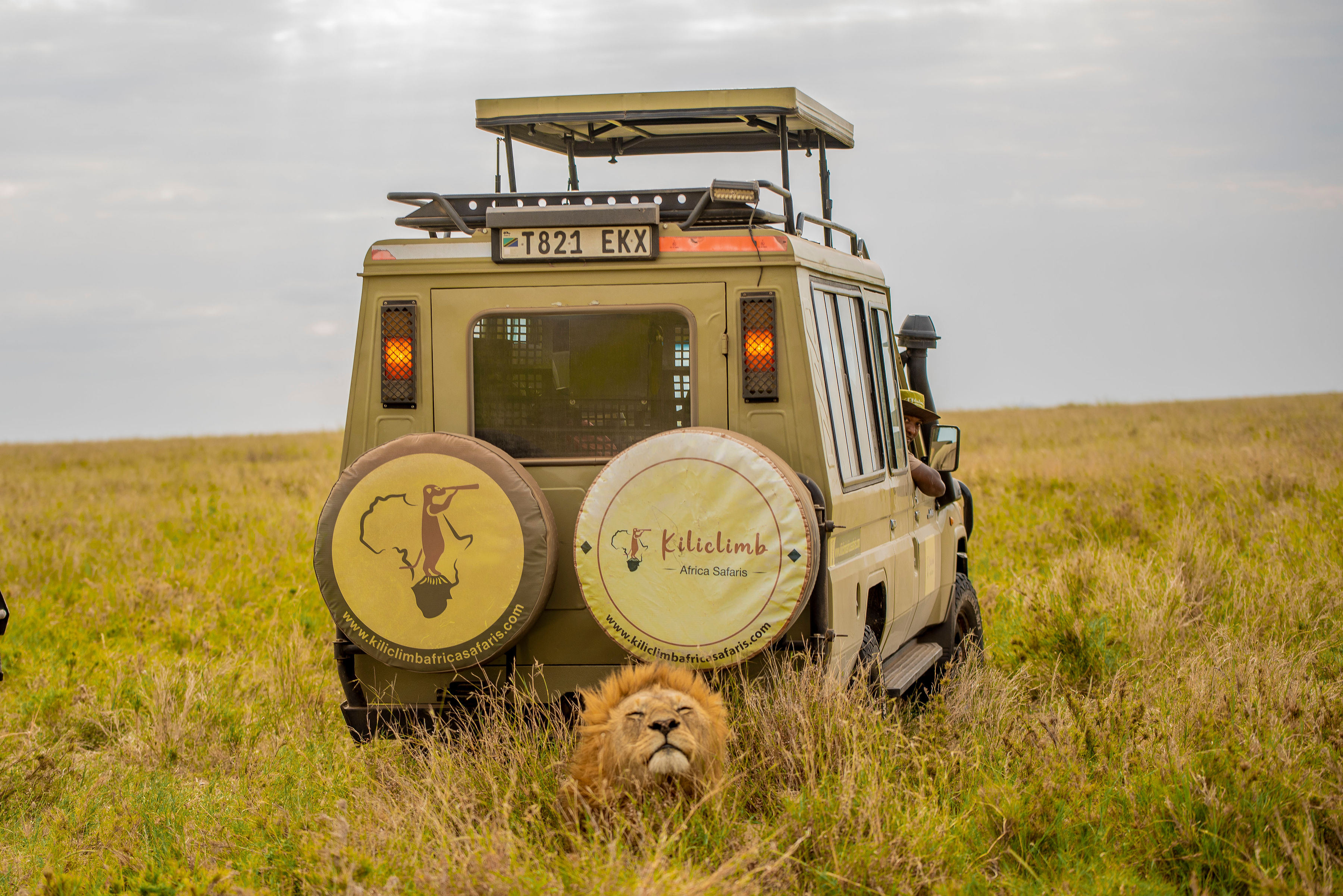 3天实惠豪华Safari塞伦盖蒂平原&恩戈罗恩戈罗 - 1