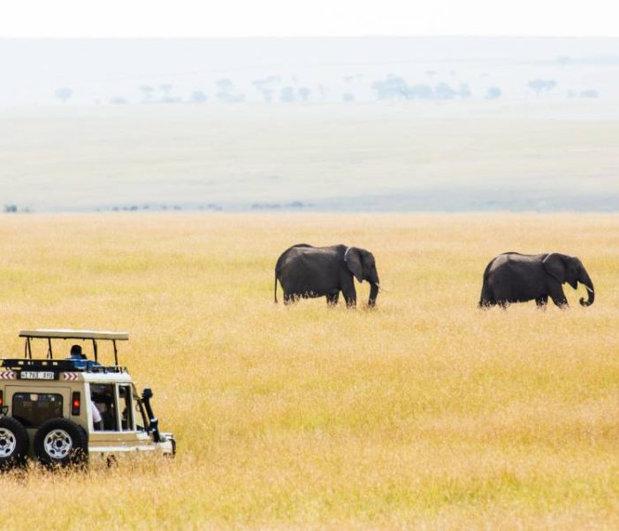 3天豪华SafariTarangire， Ngorongoro&Manyara之旅 - 2