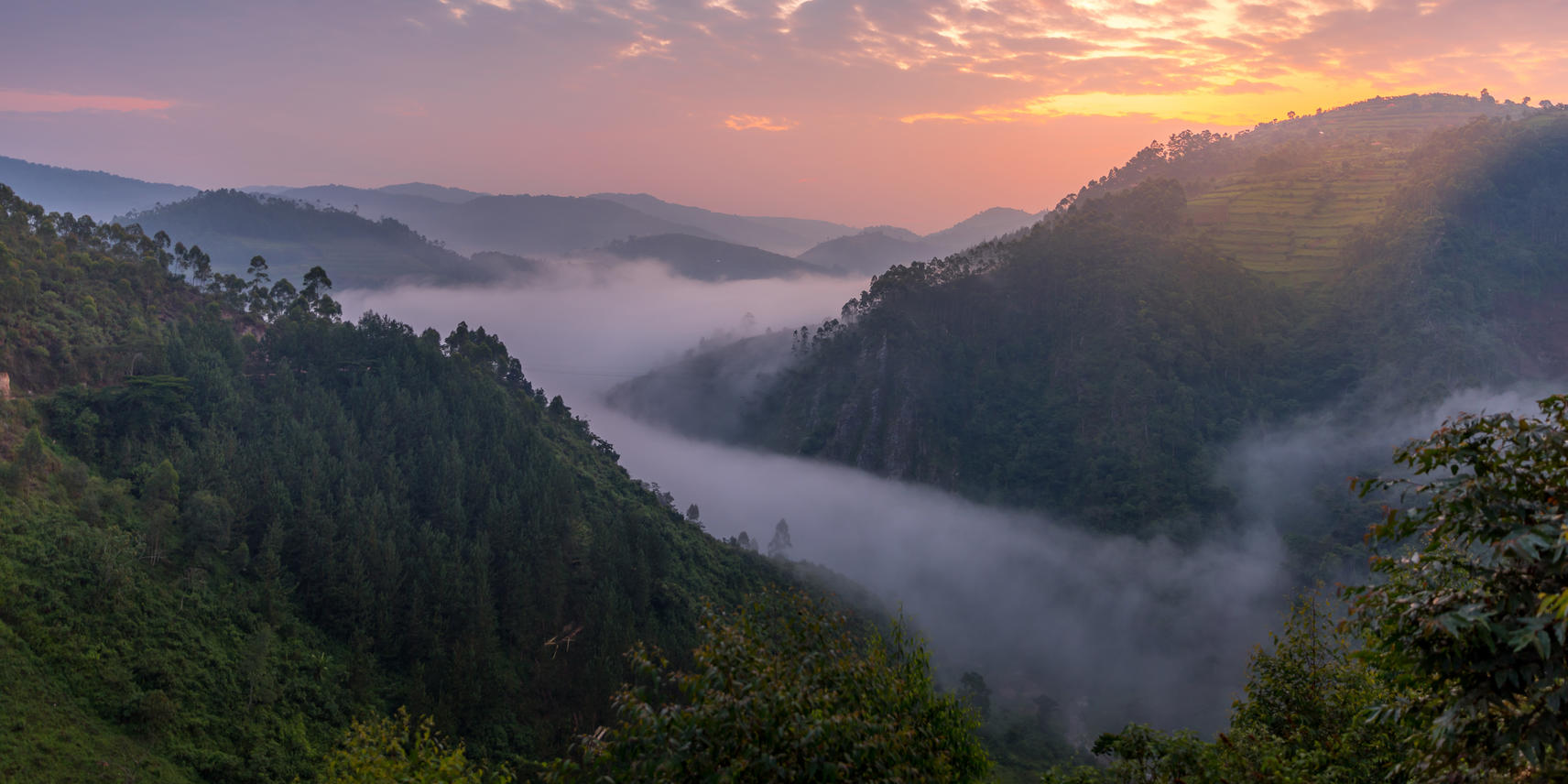4天-大猩猩Safari - 2