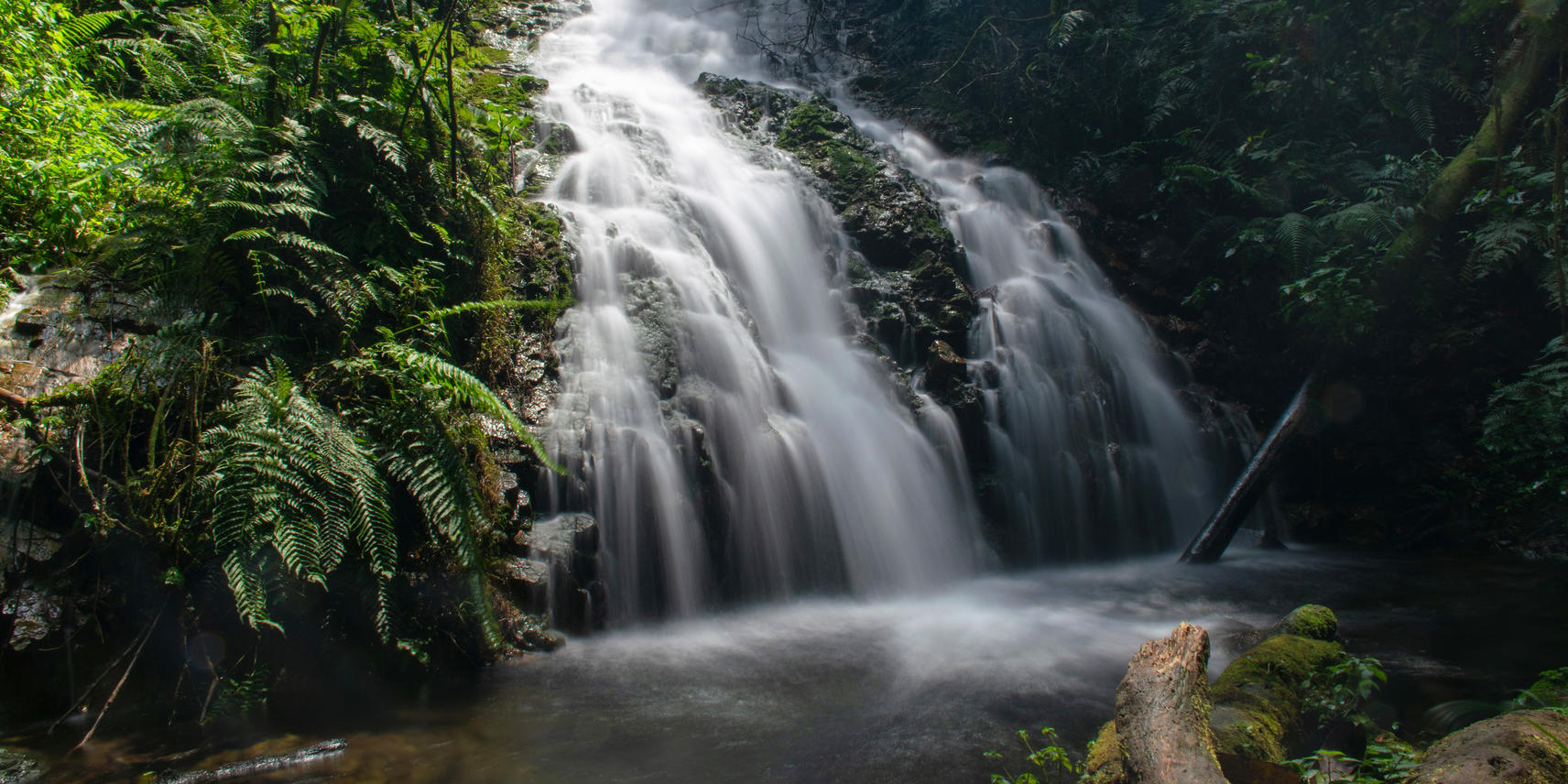 4 Day - Fly-in Gorilla Safari