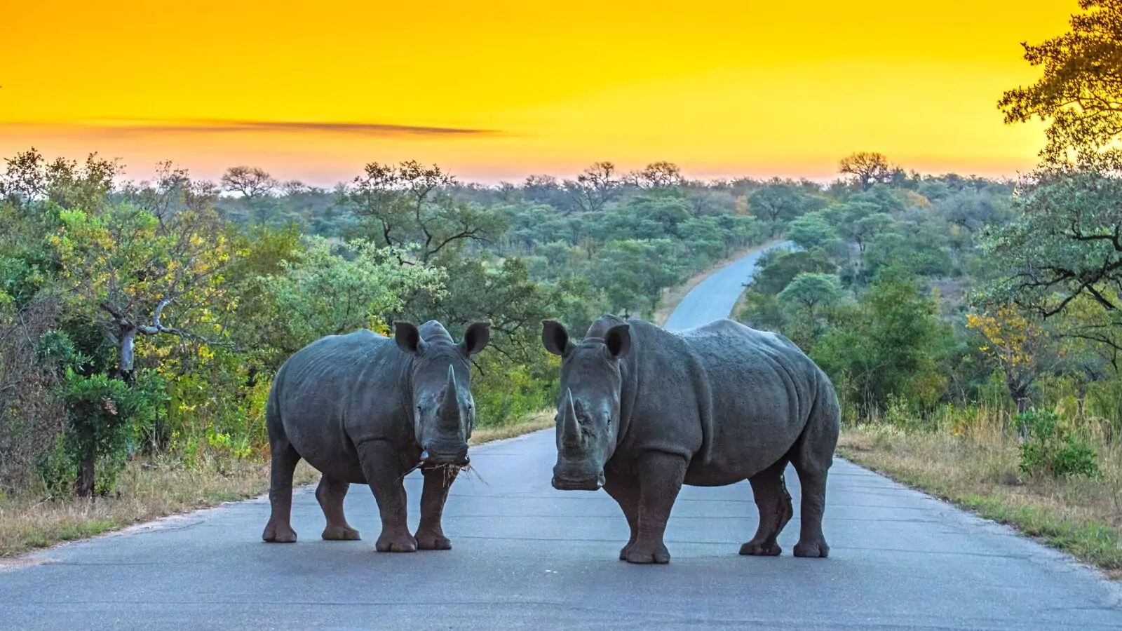 3-Day Best Budget Kruger Park Safari