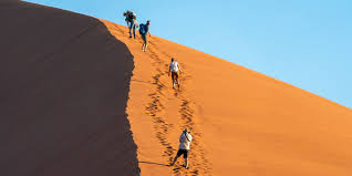 6天索苏斯维雷-斯瓦科普蒙德&埃托沙国家公园住宿Safari - 3