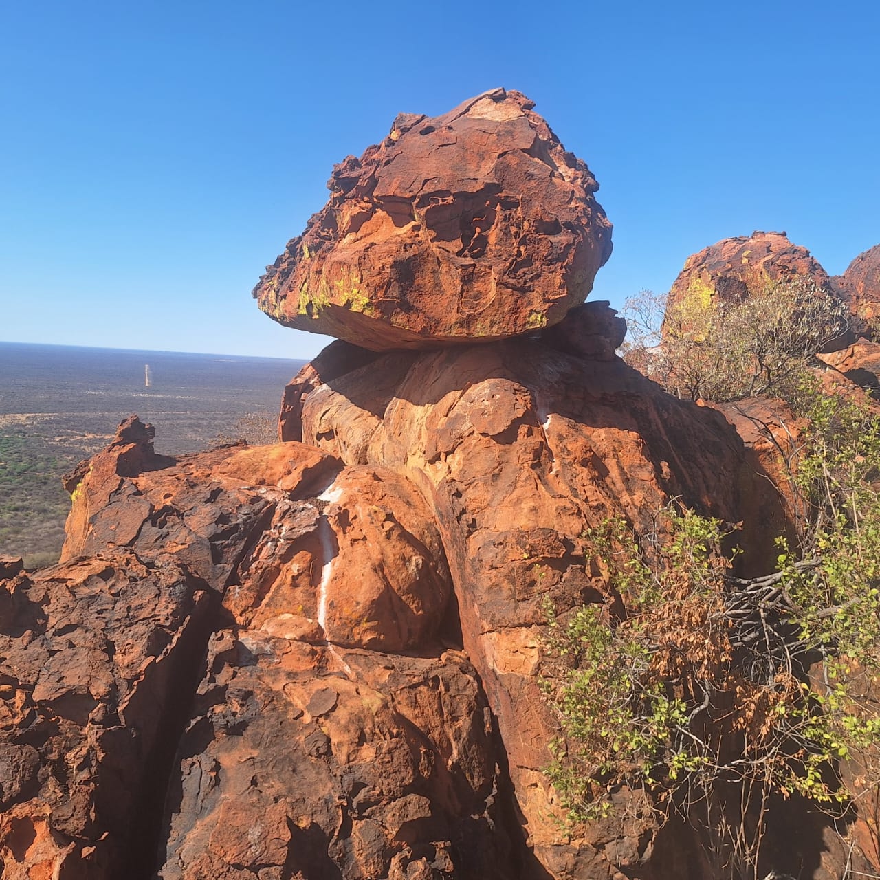 7日游：沙丘、海岸、Safari - 3