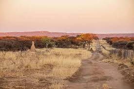 6天索苏斯维雷-斯瓦科普蒙德&埃托沙国家公园住宿Safari - 1