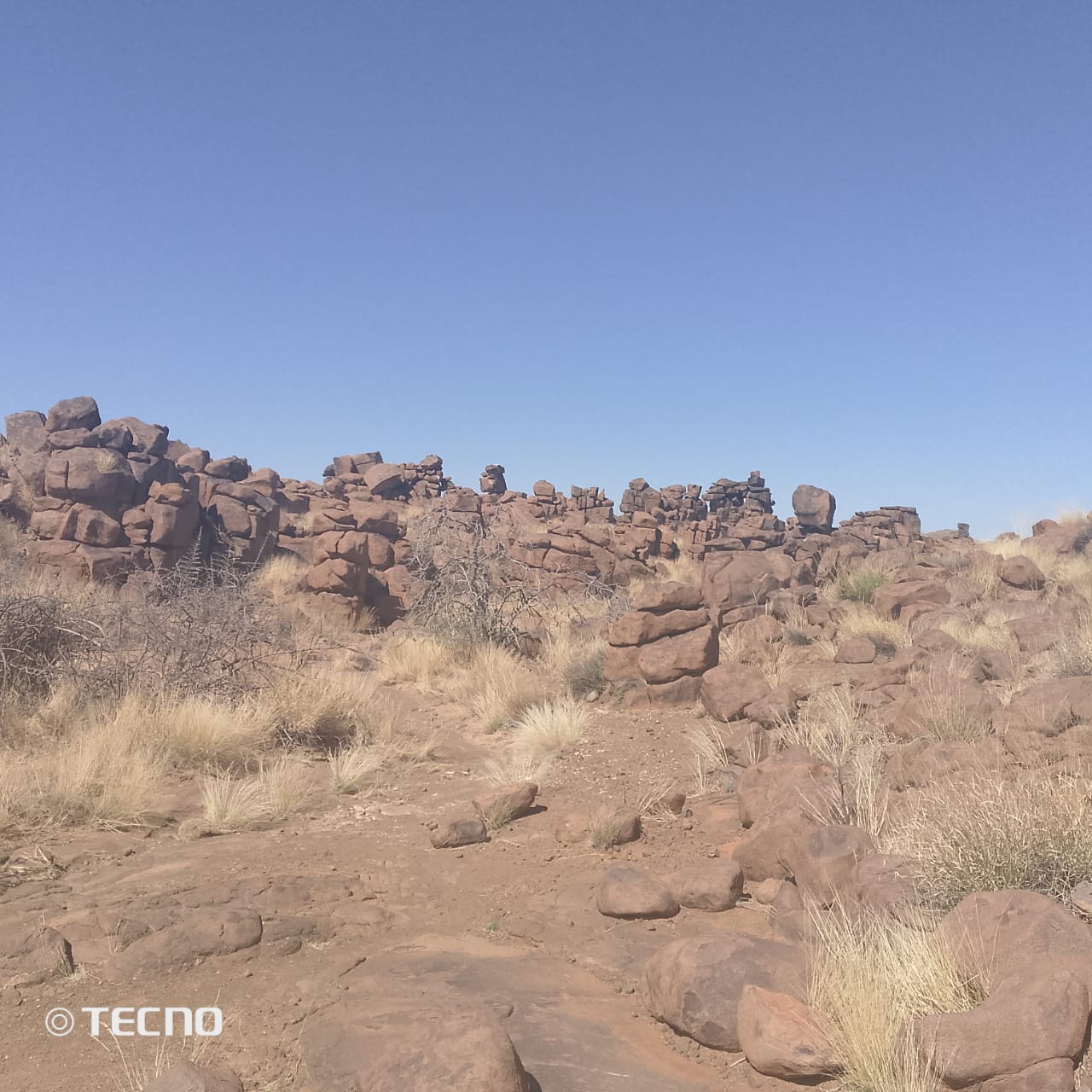 10天纳米比亚探险：索苏斯维莱、斯瓦科普蒙德、埃托沙Safari及其他 - 3