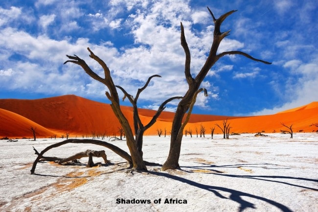 10-Day Top Namibian Destinations Fly-in Safari - 3