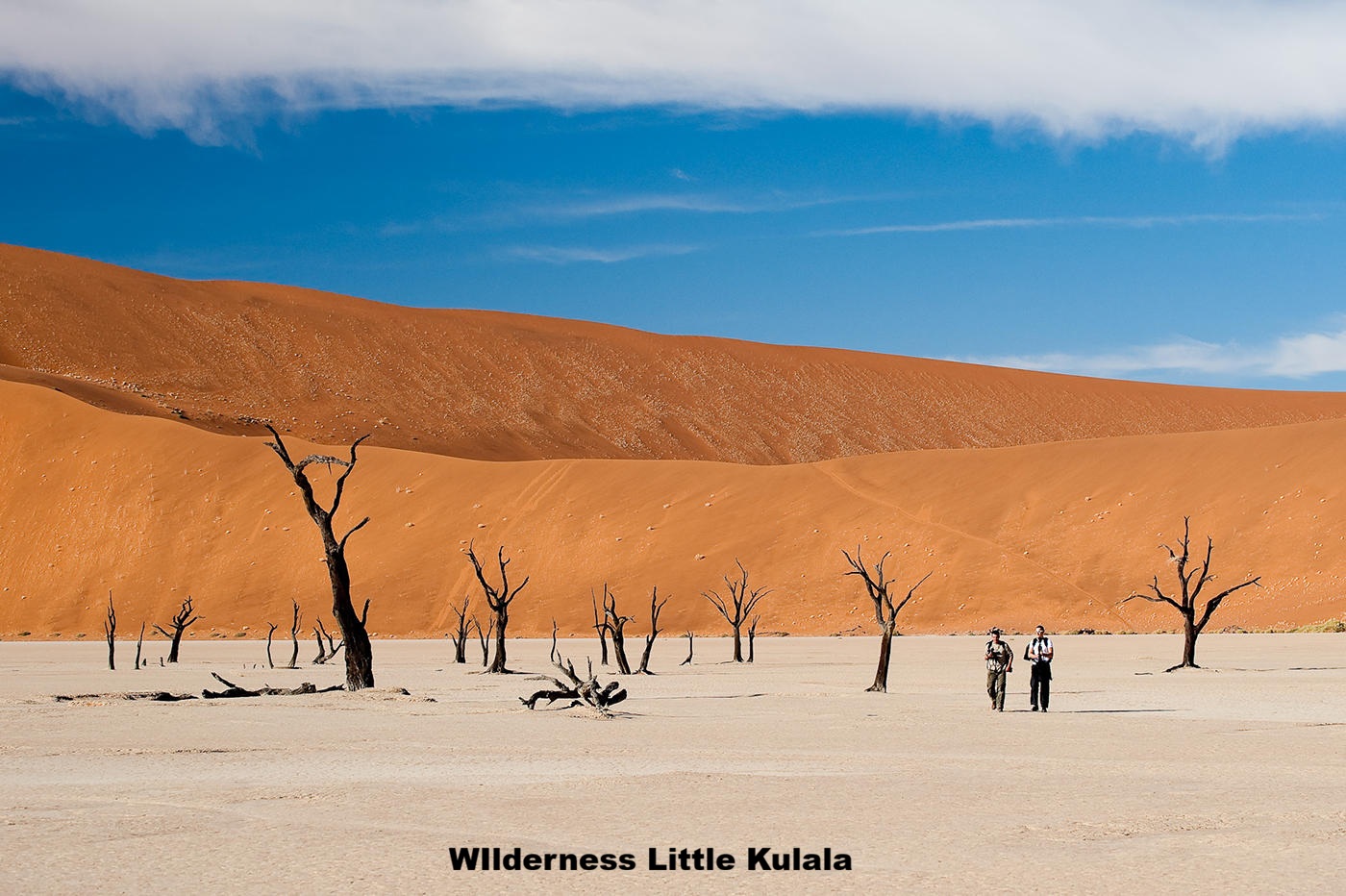 14 - Day Luxury Namibia Flying Safari - 4