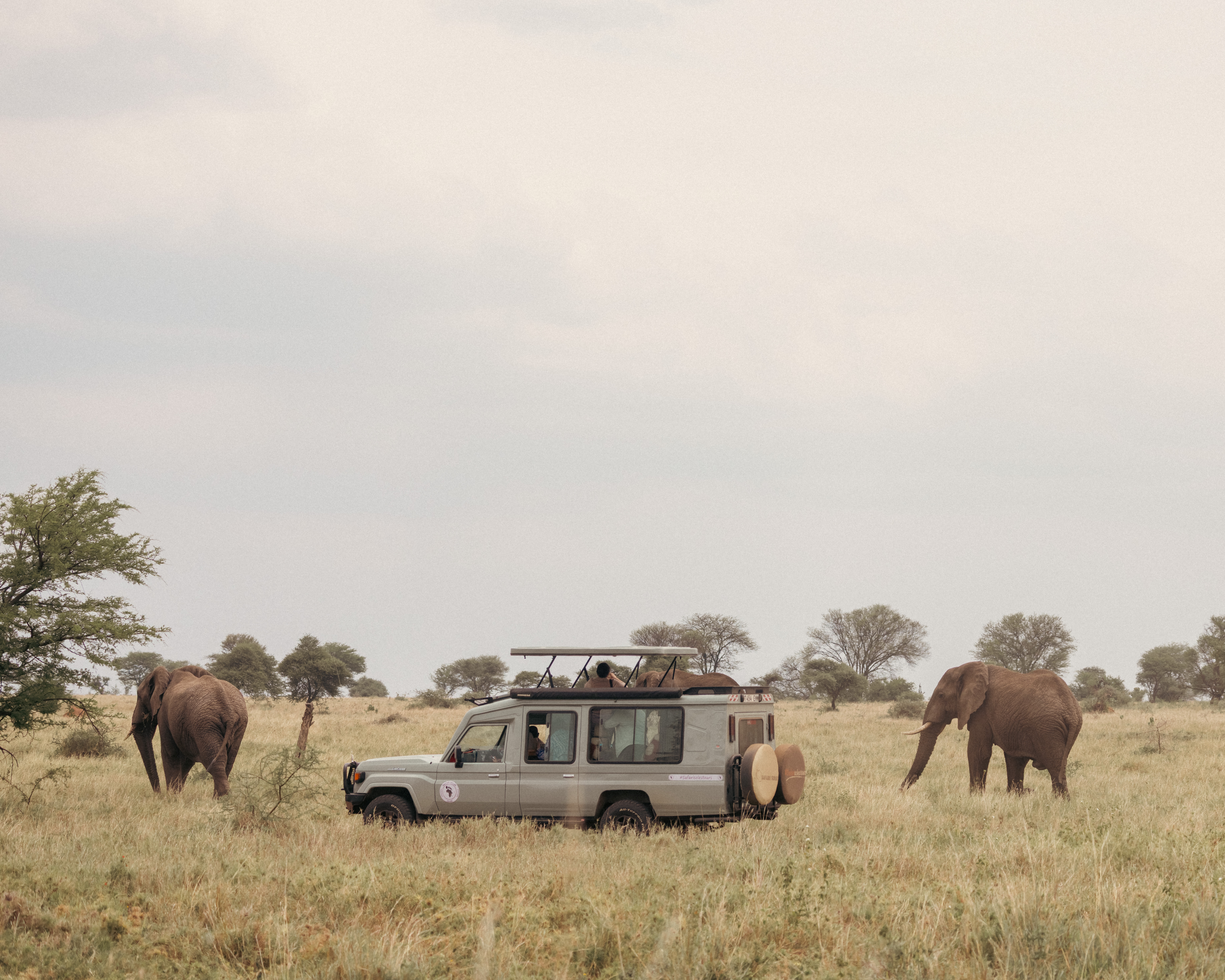 Ang'ata Ngorongoro Camp