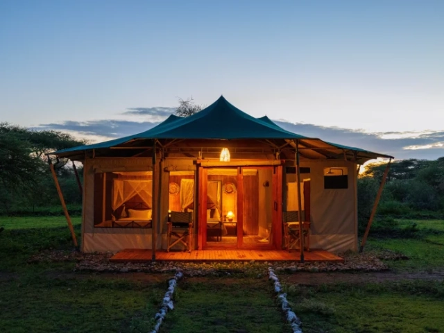 Safari Haven Migration Camp