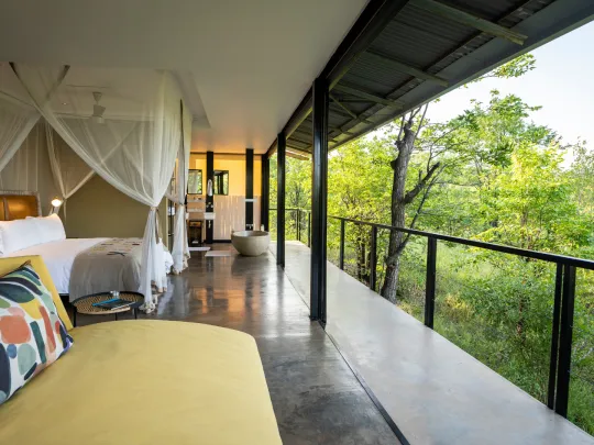 4天豪华北克鲁格公园Safari - 1