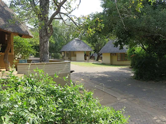 3日克鲁格公园Safari行程 - 1