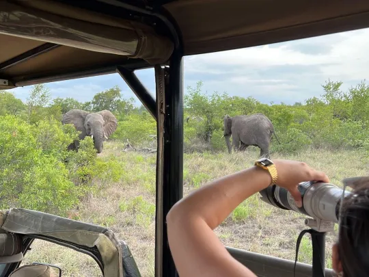 3日克鲁格公园Safari行程 - 3