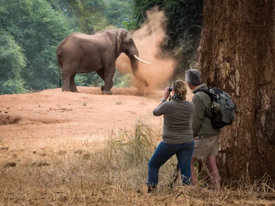 4天豪华北克鲁格公园Safari - 2