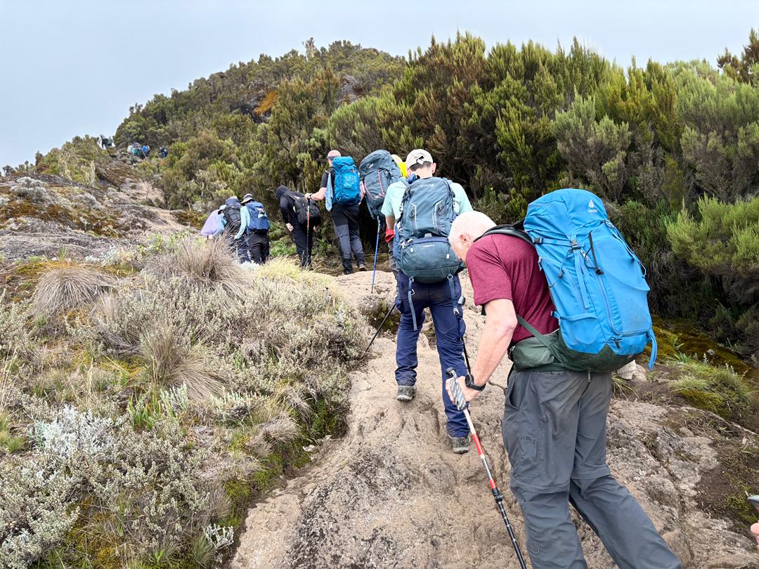 MT。通过MACHAME路线进行乞力马扎罗徒步旅行（7天）。 - 3