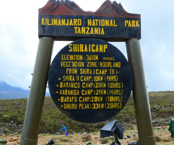MT乞力马扎罗徒步旅行通过MACHAME路线（6天） - 3