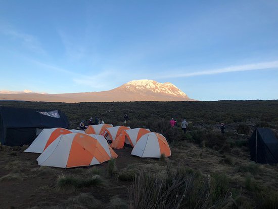 MT乞力马扎罗徒步旅行路线（8天） - 4