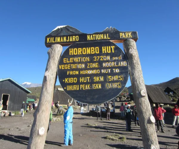 Horombo Hut