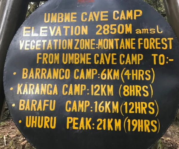 MT。乞力马扎罗徒步旅行通过UMBWE路线（7天）。 - 2