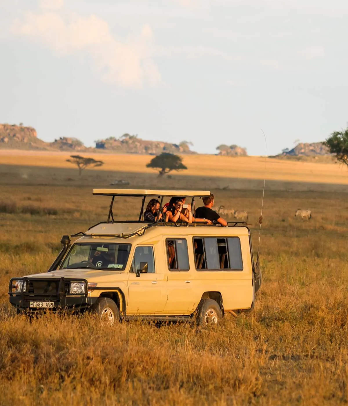 6天角马迁徙Safari - 1