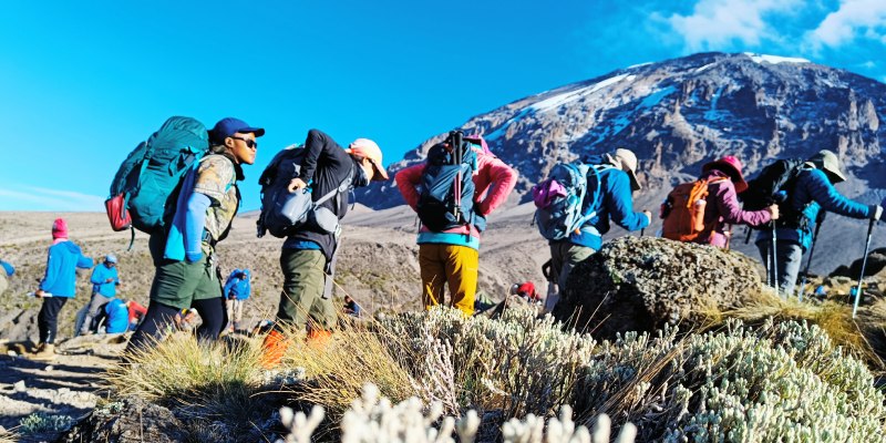 MT。通过北线骑行乞力马扎罗徒步旅行（10天）。 - 1