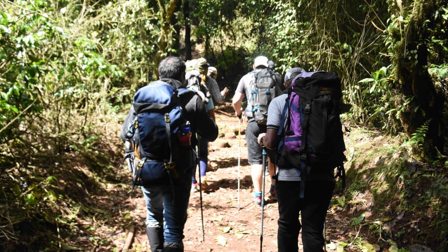 MT乞力马扎罗徒步旅行路线（8天） - 2