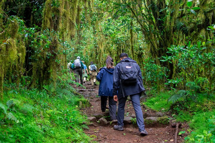 MT乞力马扎罗徒步旅行（5天） - 3