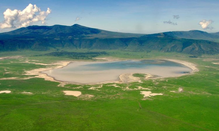  最好的北坦桑尼亚赛道萨法里（4天）。 - 2