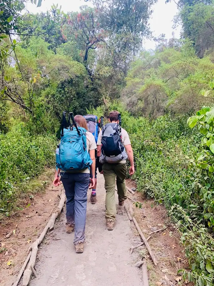 MT。乞力马扎罗徒步旅行通过龙盖路线（7天）。 - 3