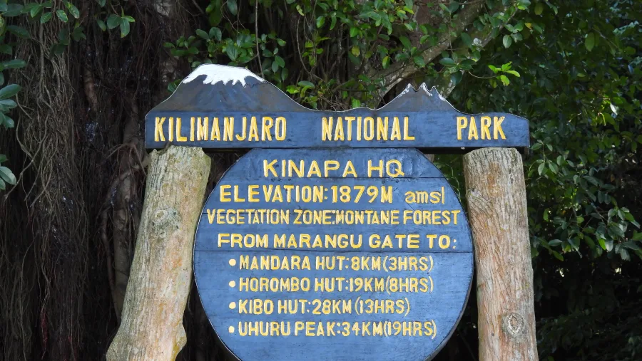 MT乞力马扎罗徒步旅行（5天） - 1