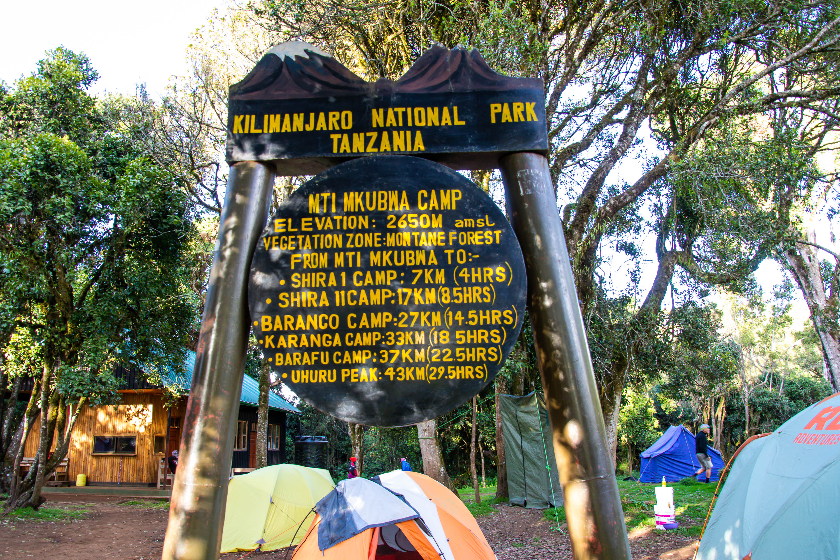 Mti Mkubwa Camp